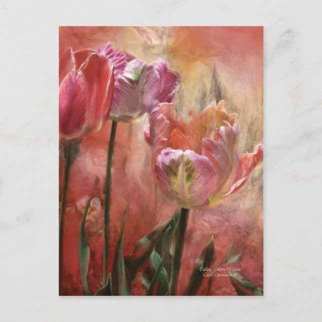 Postal Tulipas Cores Do Cartão De Arte Do Amor (Frente)