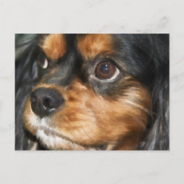 Postal Um Cão Leal Cavalier King Charles Spaniel Cartão P