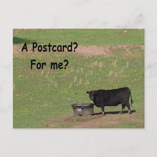 Postal Um cartão postal? Para Mim? (Frente)