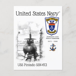 POSTAL USS PINTADO SSN-672 ATACK SUBMARINE - CARTÃO POSTA