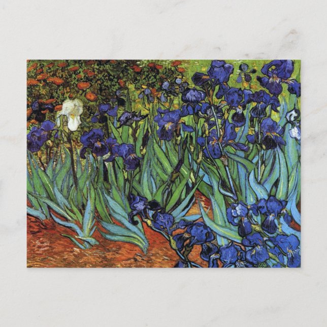 Postal Van Gogh torna iridescente o cartão (Frente)