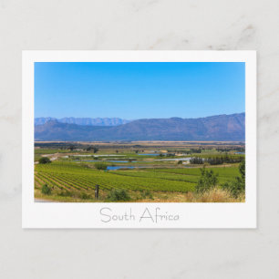 Postal Vineyard Nature View South Africa SA Cartão posta