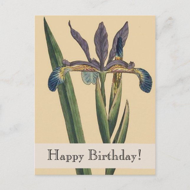 Postal Vintage Botanicals Iris Cartão de Aniversário (Frente)