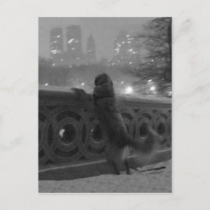 Postal Vista nevada da Bow Bridge-Central Park cartão pos