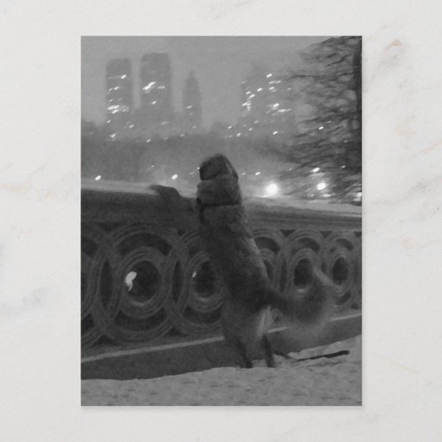 Postal Vista nevada da Bow Bridge-Central Park cartão pos (Frente)