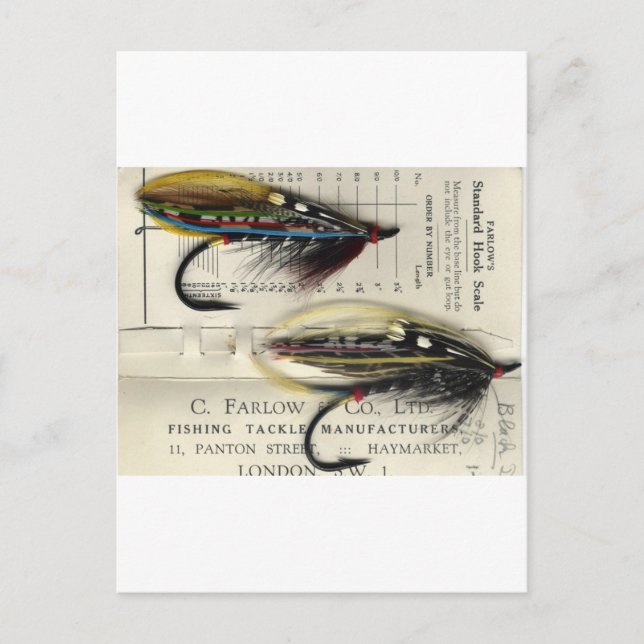 Postal Voo Salmão Clássico no cartão (Frente)