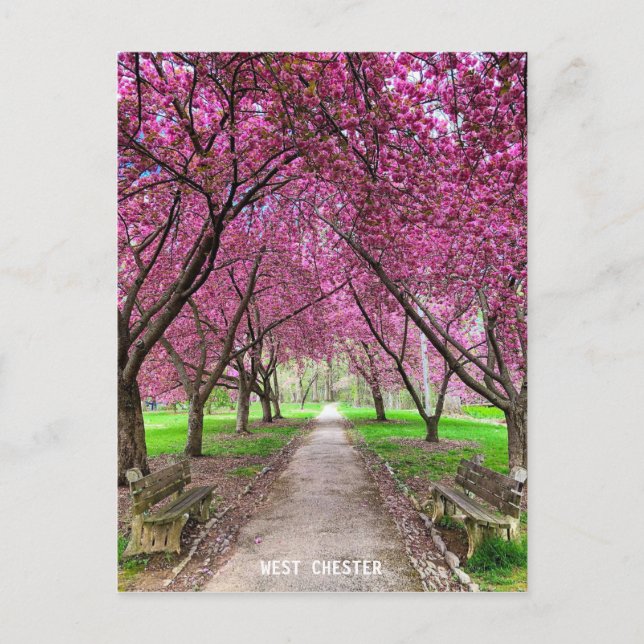 Postal West Chester Everhart Park - Cartão de Posto (Frente)
