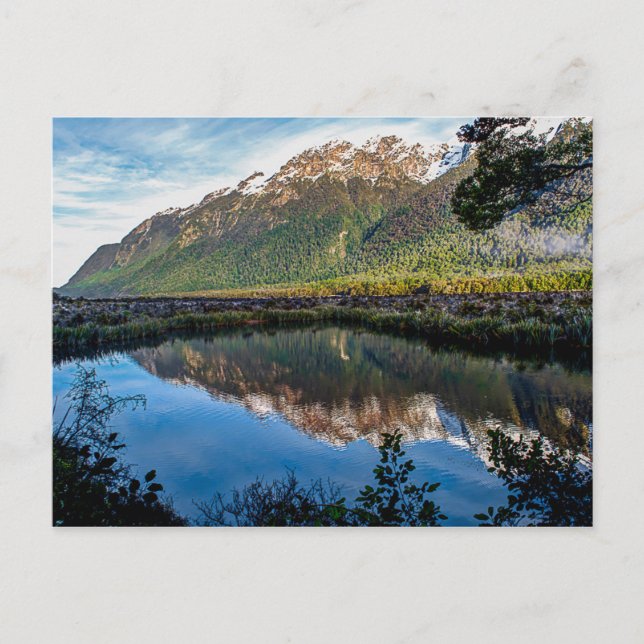 Postar cartão da Nova Zelândia (Frente)