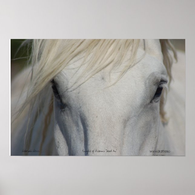 Poster (Frente)