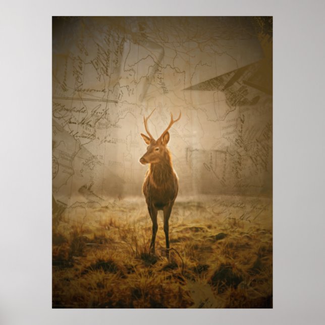 Poster (Frente)