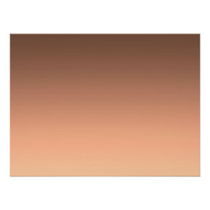 PÓSTER 