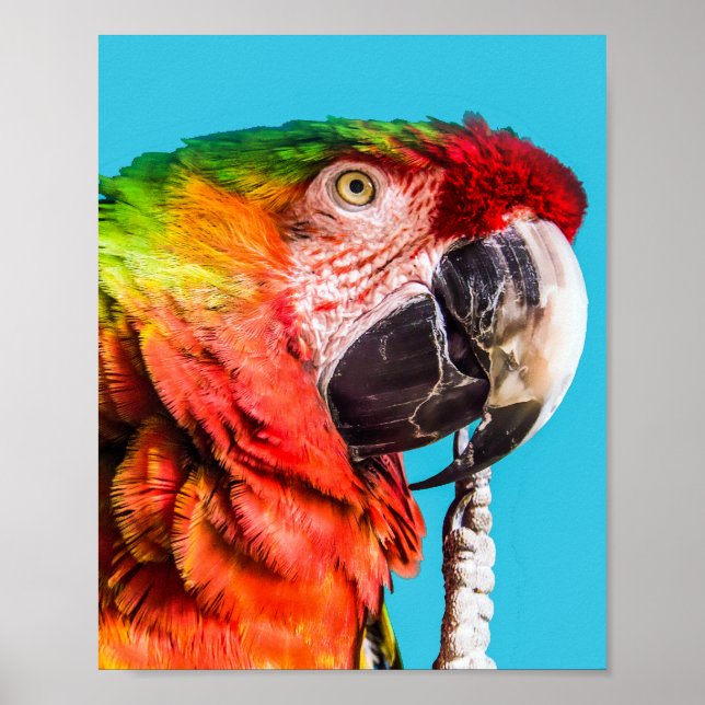 Poster (Frente)