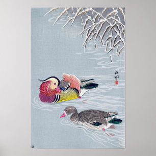 Póster オシドリ, pato de mandarino do 小原古邨, O