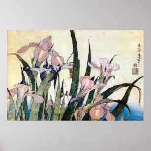 Poster 杜若ときりぎりす, íris do 北斎 e gafanh