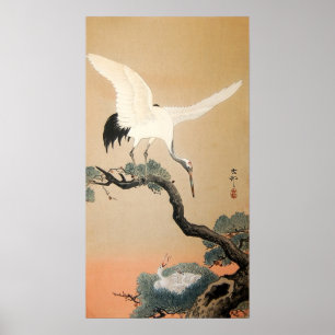 Póster 松に鶴, guindaste do 古邨 no pinheiro, Koson,
