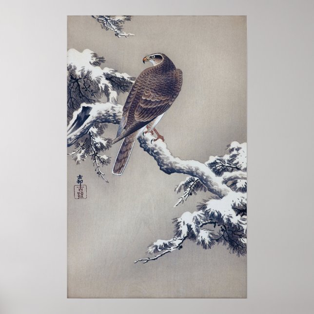 Póster 松 に 鷹, 古 邨 Hawk em Pine, Ohara Koson, Woodcut, Woo (Frente)
