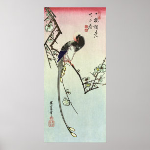 Póster 梅に尾長鳥, árvore de ameixa do 広重 e pá