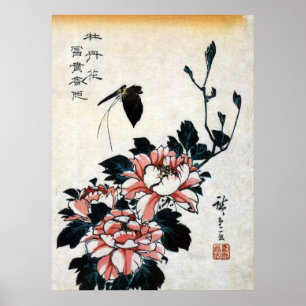 Póster 牡丹に蝶, peônias do 広重 e borboleta, Hiro
