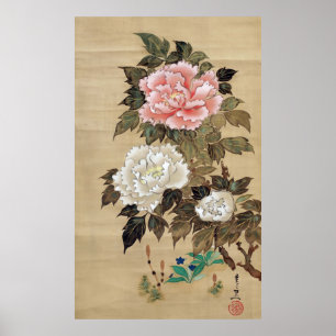 Póster 牡丹, peônia do 其一, Kiitsu, arte de Japão