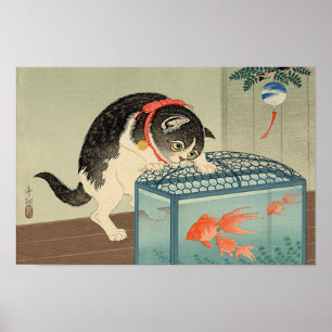 Poster 猫と金魚, gato do 古邨 & peixe dourado, Koso