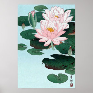 Póster 睡蓮, lírio de água do 古邨, Koson, Ukiyo-e