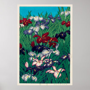 Póster 菖蒲, íris, Hasui Kawase, Woodcut