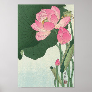 Póster 蓮の花, flor de Lotus do 小原古邨, Ohara Ko