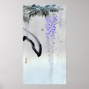 Poster 藤の花, glicínia de florescência do 古邨, O
