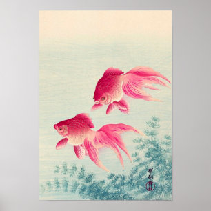 Póster 金 魚, 古 邨 Par de Peixe Goldfish, Koson, Ukiyo-e, Wo