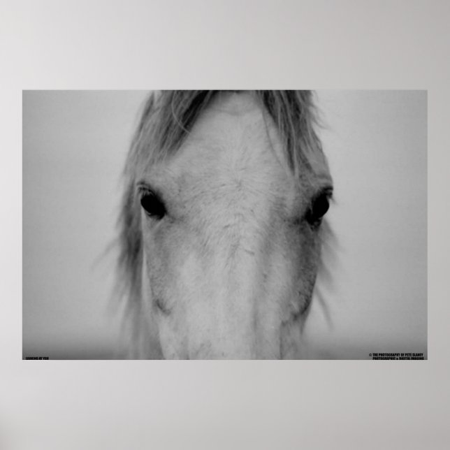 PÓSTER 003 (Frente)