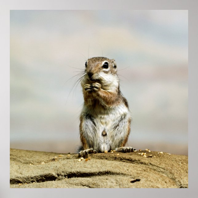 PÓSTER 005 (Frente)