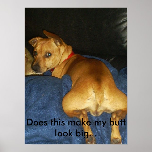 Poster 042, isso faz meu bumbum parecer grande... (Frente)