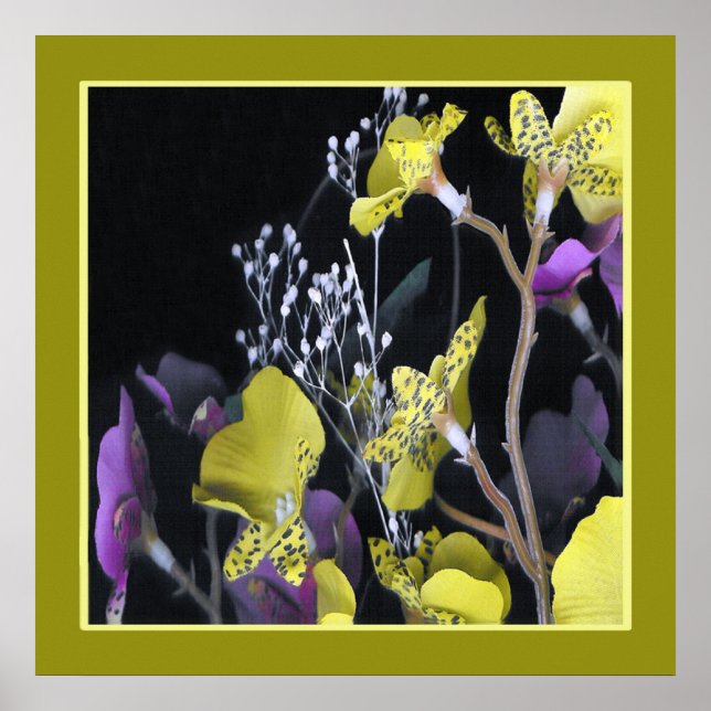 Póster 0705a. (Frente)