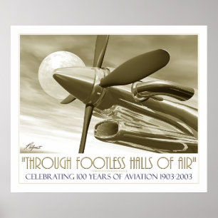 Poster 100th Anniversary of Flight