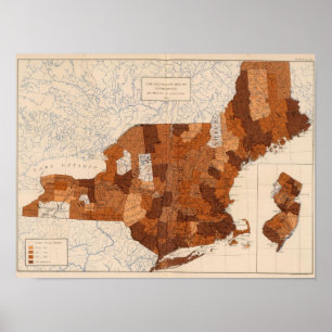 Póster 101 consumo NY, NJ, Nova Inglaterra