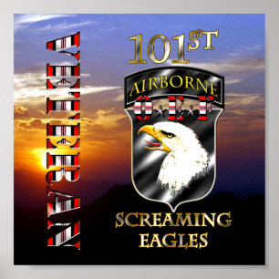 Póster 101st Veterano da divisão aerotransportada OEF