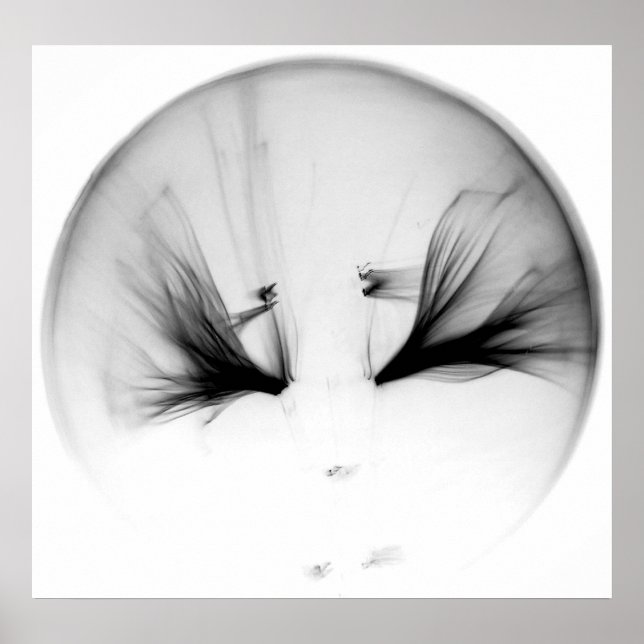 POSTER 10^23 #1 (Frente)