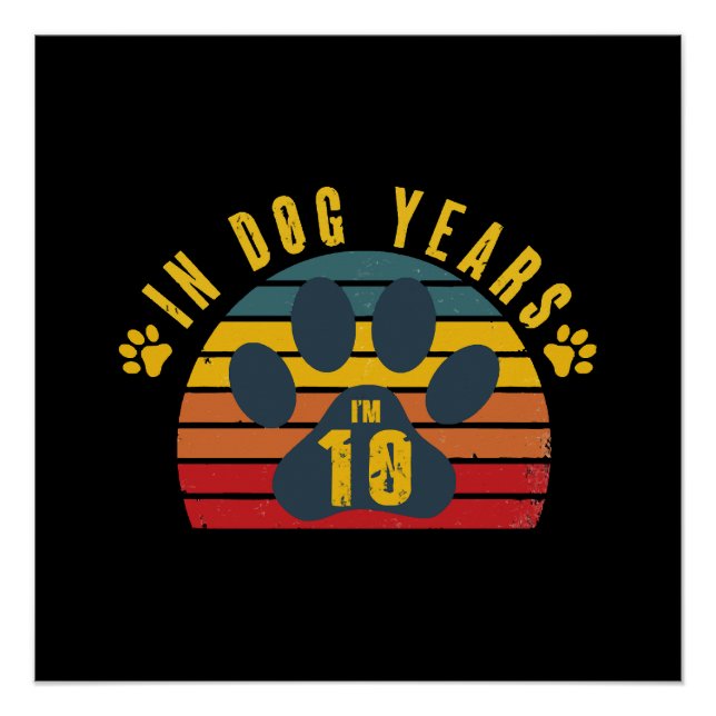 Póster 10 Em Anos de Cachorro (Frente)