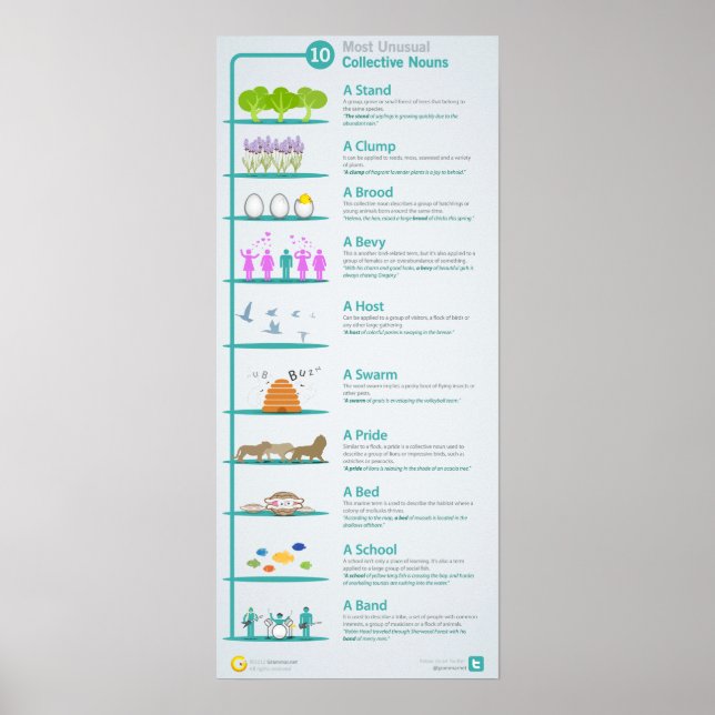Poster 10 substantivos Coletivos Incomuns Revelados e Exp (Frente)