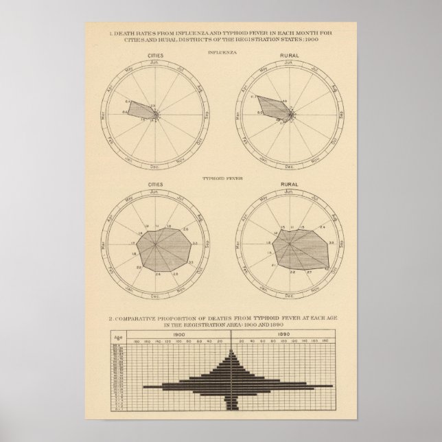 Póster 117 Mortes por gripe, febre tifoide 1900, 1890 (Frente)