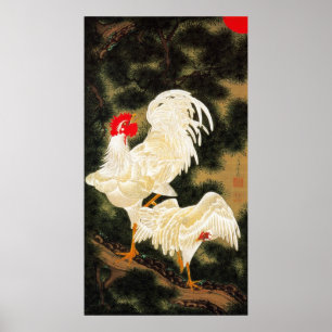 Póster 11. 老松白鶏図, pinheiro do 若冲 & galinhas