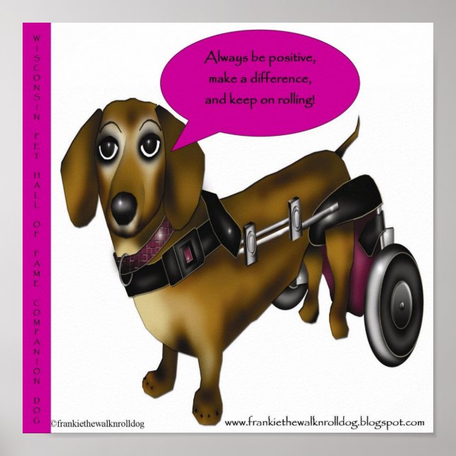 poster 11 X 11 frankie (Frente)