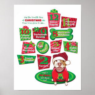 Póster 12 cães do Natal