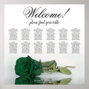 Poster 12 Mesa Carta de Assentos Elegante Rosa Verde Esme