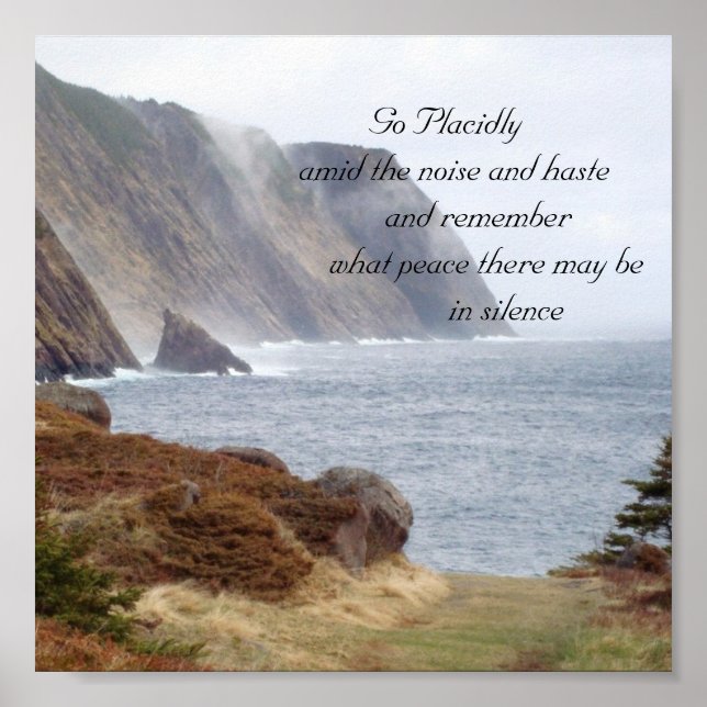 Póster 134, Vá acidentalmente entre o barulho e a pressa. (Frente)