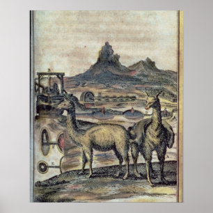 Póster 137-0627924 ilustração de uma história de Peru 
