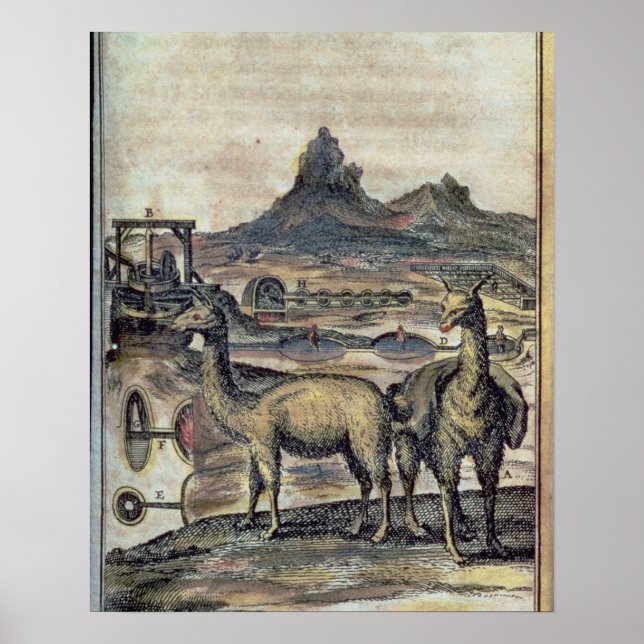 Póster 137-0627924 Ilustração de uma história do Peru (Frente)