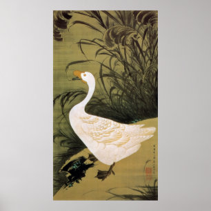 Póster 13. 芦鵞図, junco do 若冲 & ganso, Jakuchū, 