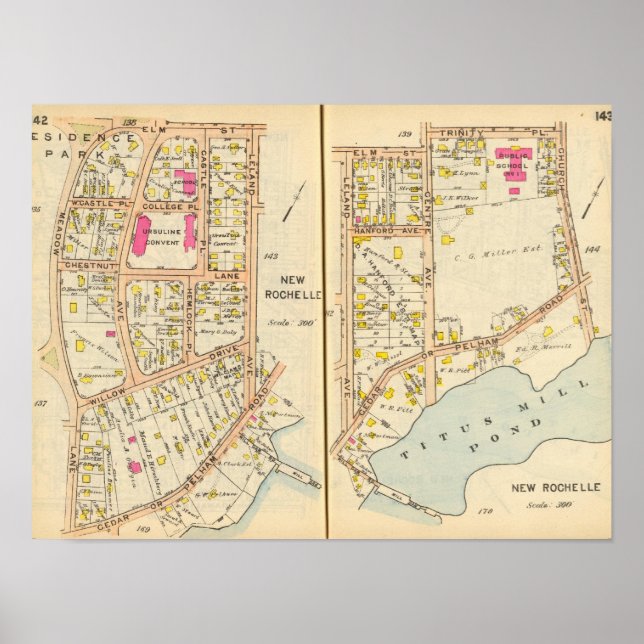 Póster 142143 Nova Rochelle (Frente)