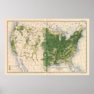 Póster 149 cavalos, mulas, milha de asses/sq